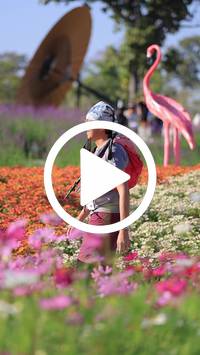 BIB:  <button type="button" onclick="openModal(27588498)" class="btn btn-primary btn-sm float-right" data-toggle="modal" data-target=".modal-high-quality">
                <i class="fa fa-download"></i> Download
                </button>